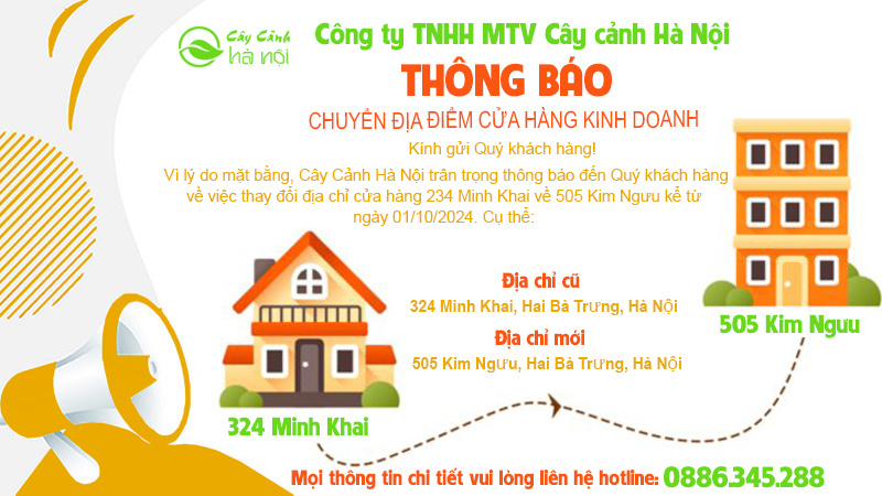 đánh bài hấp dẫn Hồ Chí Minh hướng dẫn